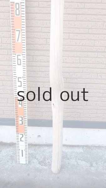 画像5: 幹流木・長尺 (5)