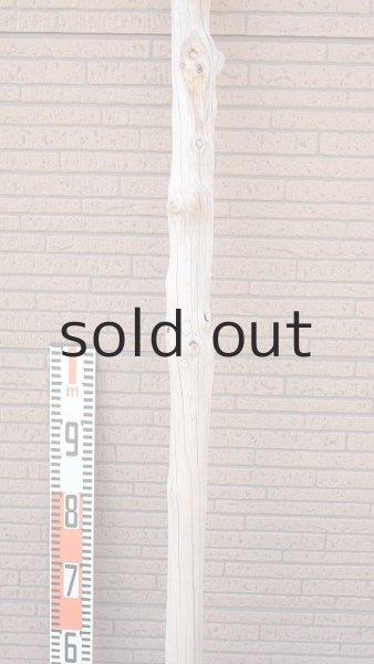 画像6: 幹流木・長尺 (6)