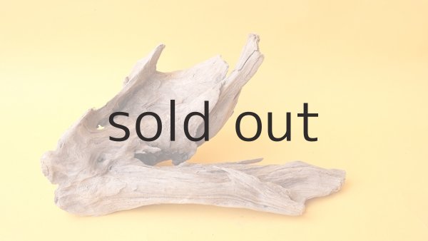 画像4: 変形流木 (4)