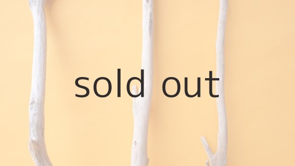 画像3: 枝流木セット (3)