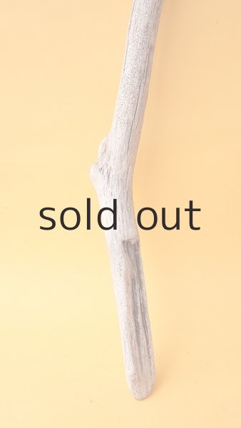 画像2: 枝流木 (2)