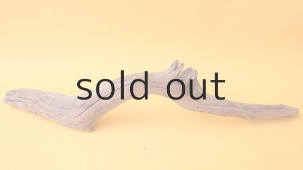 画像4: 変形流木 (4)