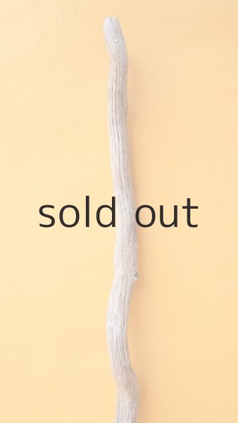 画像3: 枝流木 (3)