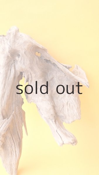 画像2: 変形流木 (2)