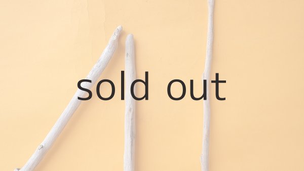 画像4: 枝流木セット (4)