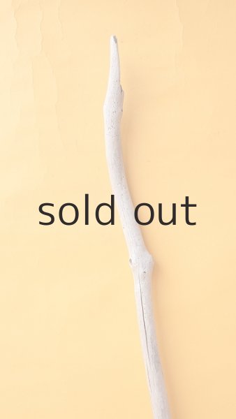 画像4: 枝流木 (4)