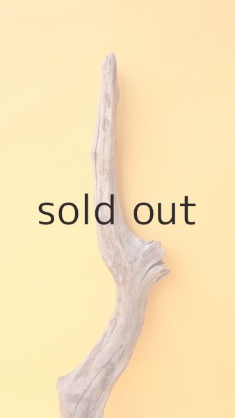 画像3: 変形流木 (3)