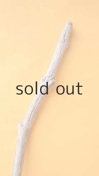 画像4: 枝流木 (4)