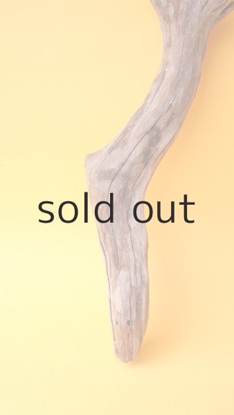 画像2: 変形流木 (2)