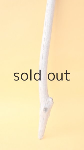 画像2: 枝流木 (2)