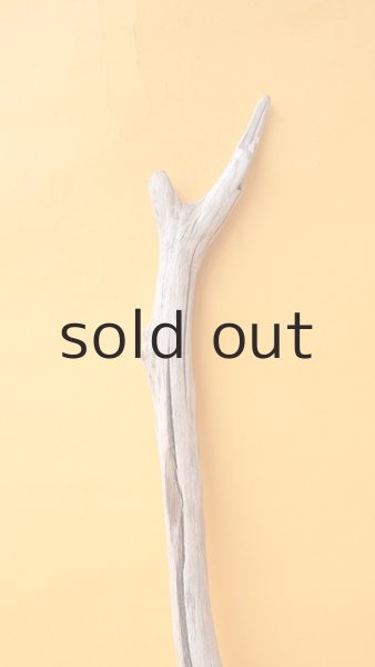 画像3: 枝流木 (3)