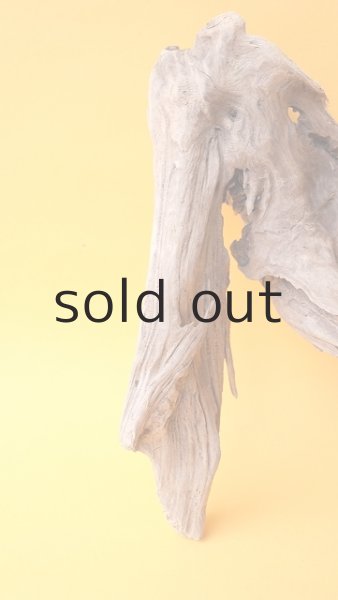 画像3: 変形流木 (3)