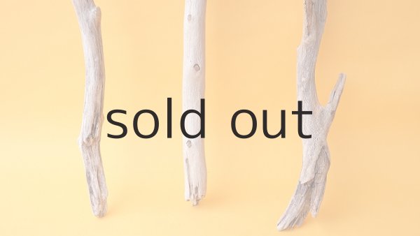 画像2: 枝流木セット (2)