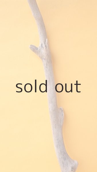 画像3: 枝流木 (3)