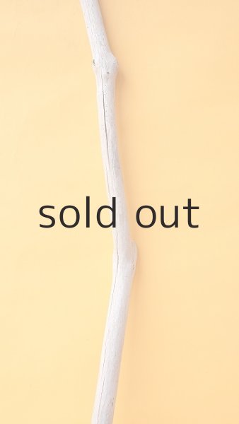 画像3: 枝流木 (3)