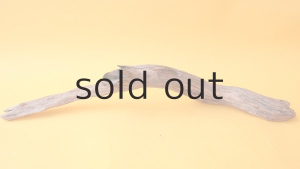 画像5: 変形流木 (5)