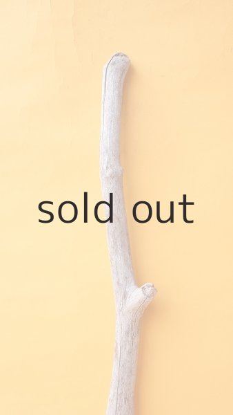 画像3: 枝流木 (3)