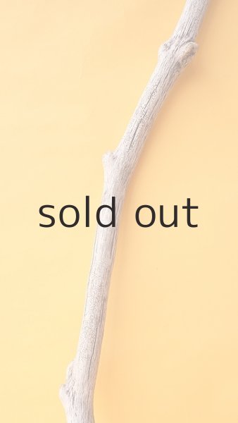 画像3: 枝流木 (3)