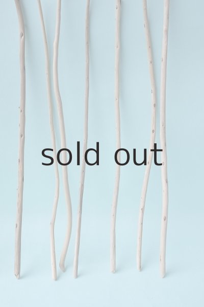 画像4: 棒流木・極細セット (4)