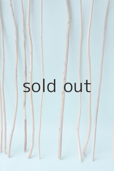 画像3: 棒流木・極細セット (3)