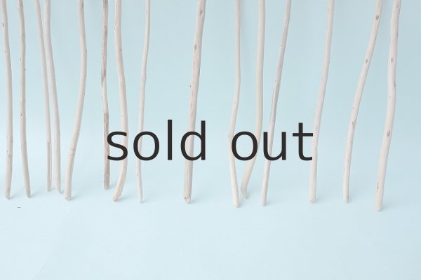 画像5: 棒流木・極細セット (5)