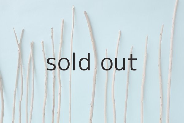 画像6: 棒流木・極細セット (6)