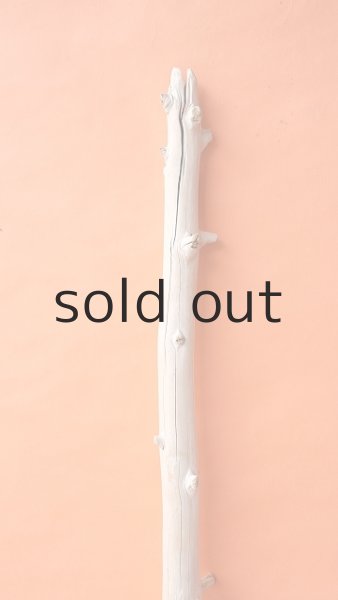 画像4: 幹流木 (4)