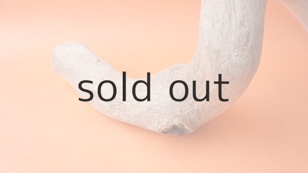 画像2: 幹流木 (2)