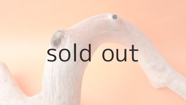 画像3: 幹流木 (3)