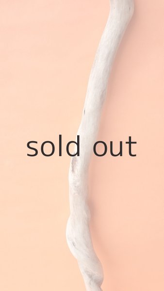 画像3: 幹流木 (3)