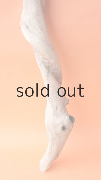 画像2: 幹流木 (2)