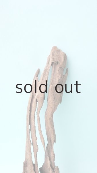 画像3: 変形流木 (3)