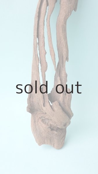 画像2: 変形流木 (2)