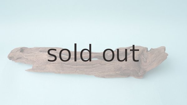 画像4: 変形流木 (4)