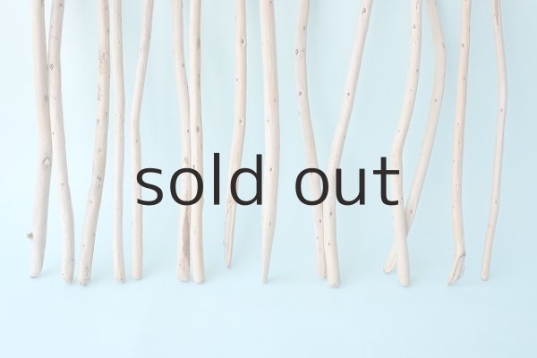 画像5: 棒流木セット (5)