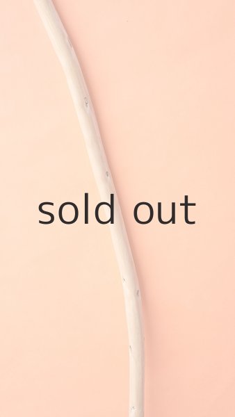 画像3: 棒流木 (3)