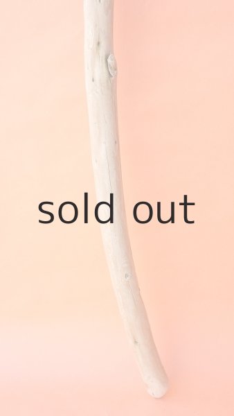 画像2: 棒流木 (2)