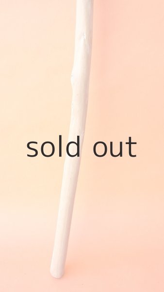 画像2: 棒流木 (2)