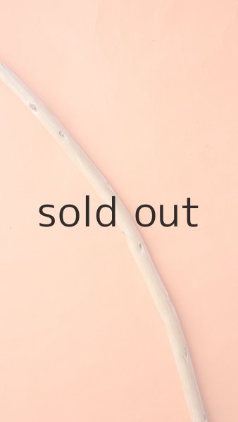 画像4: 棒流木 (4)