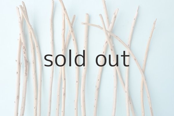 画像6: 棒流木セット (6)