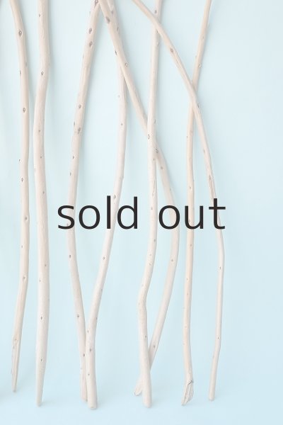 画像4: 棒流木セット (4)