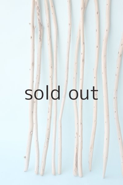 画像2: 棒流木セット (2)