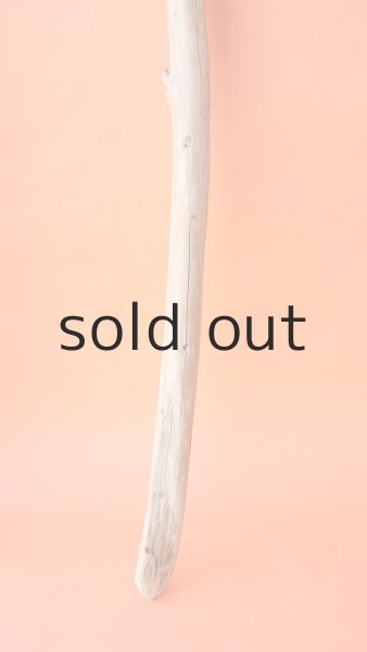 画像5: 棒流木 (5)