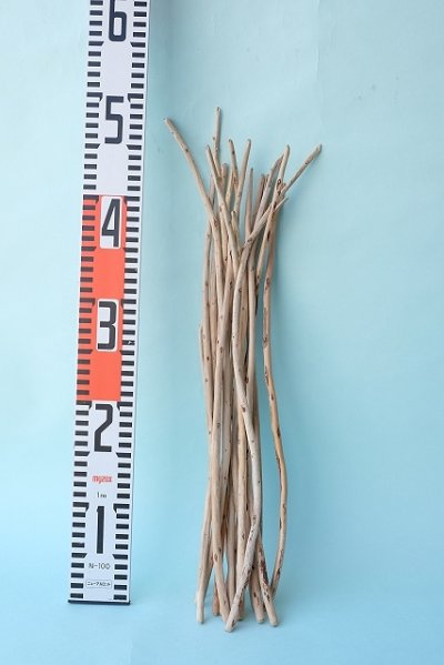 画像3: 棒流木セット
