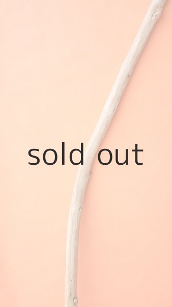 画像3: 棒流木 (3)