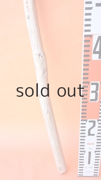 画像6: 棒流木 (6)