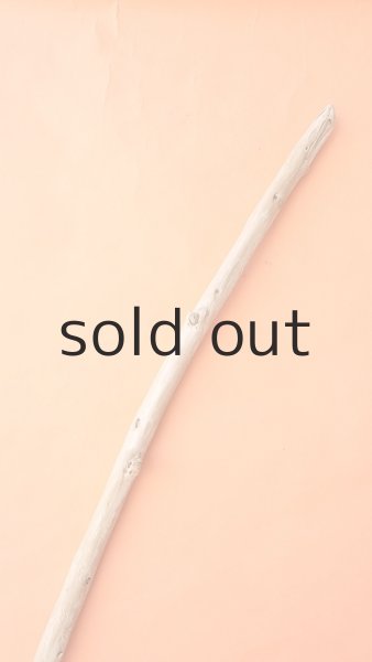 画像4: 棒流木 (4)