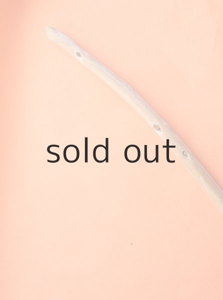 画像5: 棒流木 (5)