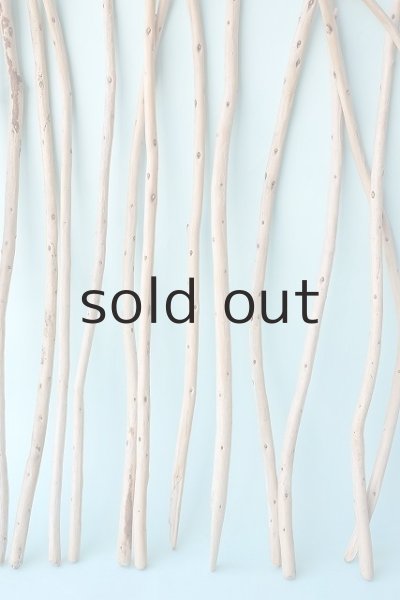 画像3: 棒流木セット (3)