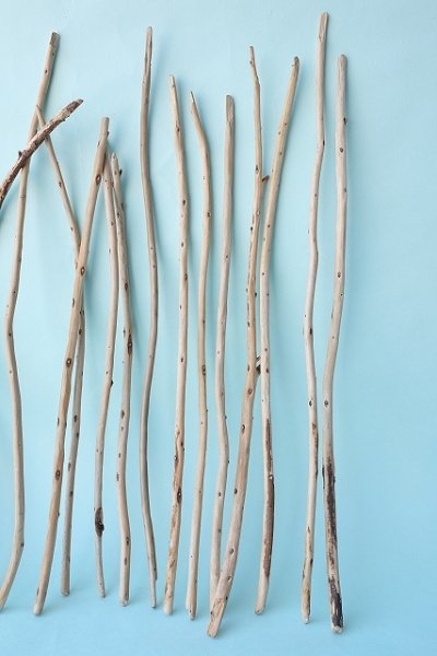 画像6: 棒流木・極細セット (6)